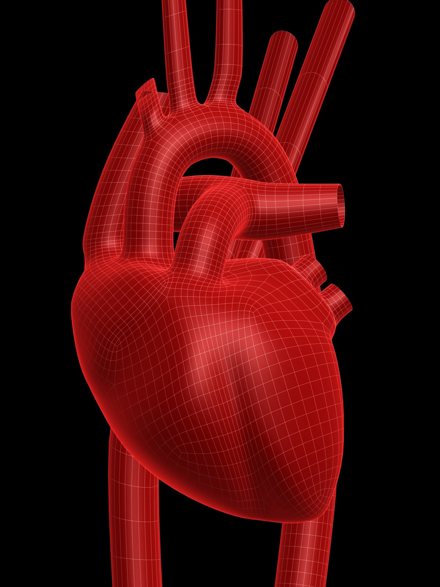 PTA 103 heart 2.jpg